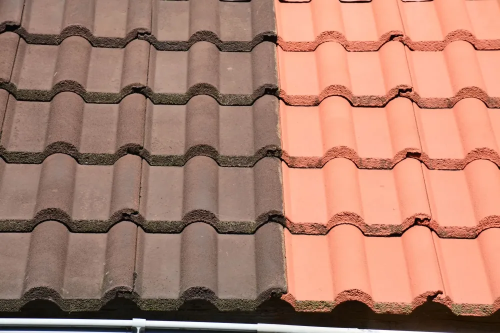 démoussage de toiture